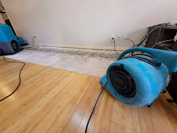 Professional Water Damage Repair technician working in Corsicana, TX